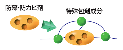 防藻・防カビ剤と特殊包剤成分の図