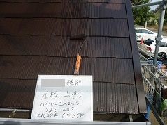 H28.10月所沢市S様邸玄関屋根塗装上塗り.jpg