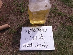 H29.2月東松山市吉岡様邸外壁塗装高圧洗浄バイオ液