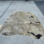 「劣化診断で確認すべき調査項目一覧｜外壁・屋上・鉄部のチェックポイント」サムネイル